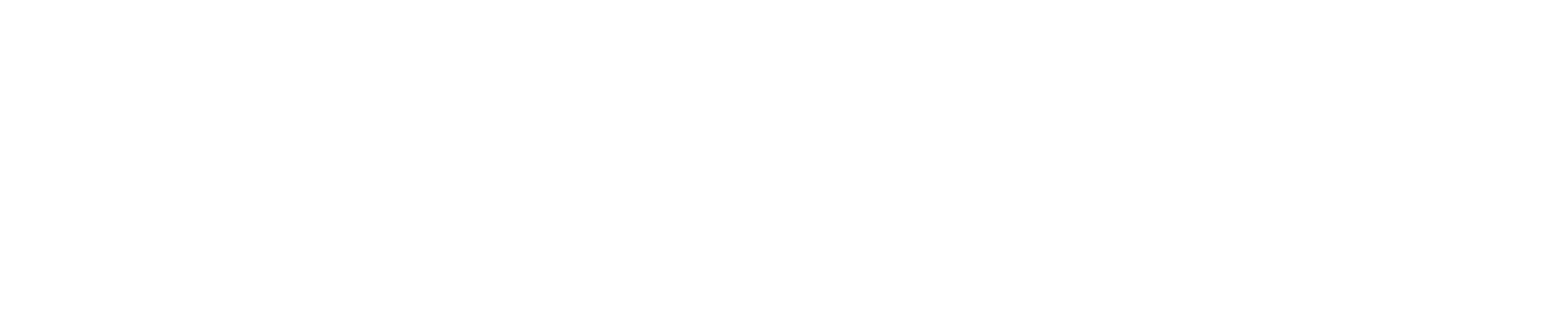 Elioz Connect